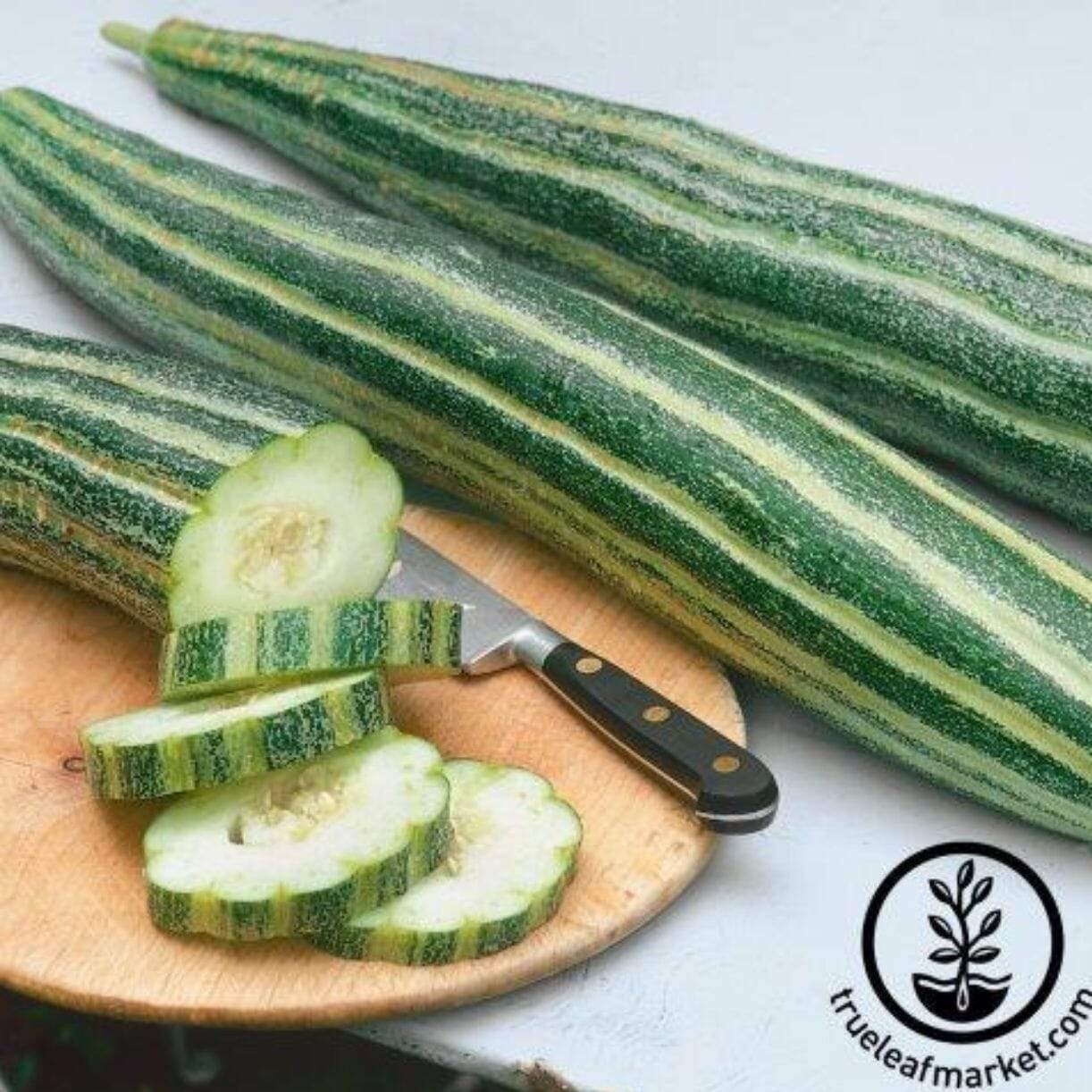 Armenian Striped Cucumber