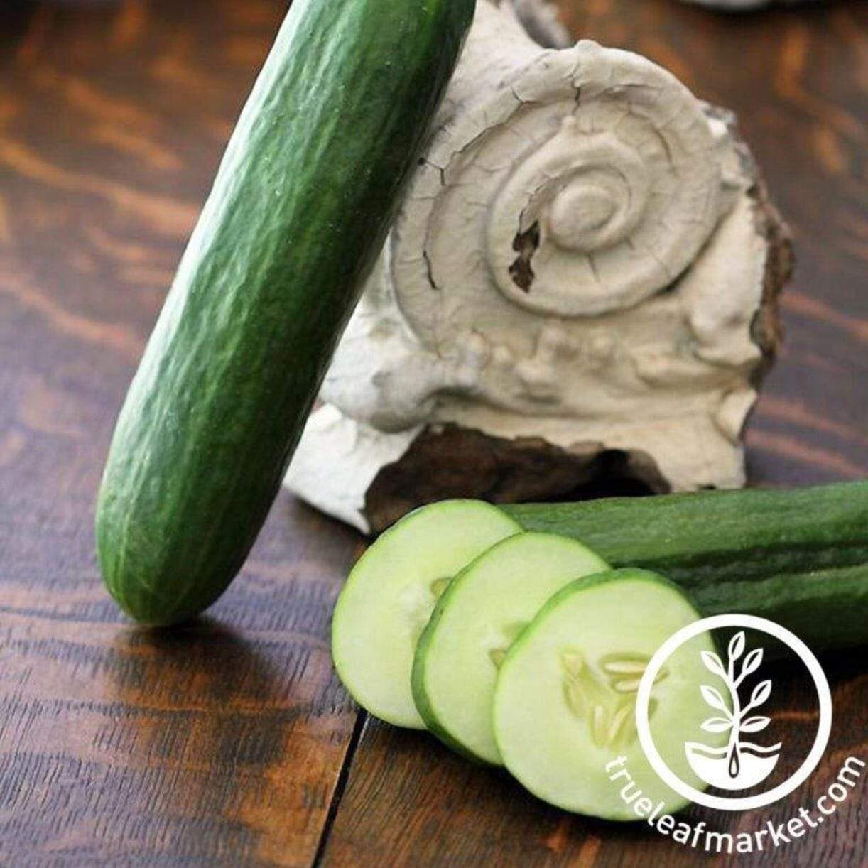 Tendergreen Burpless Cucumber