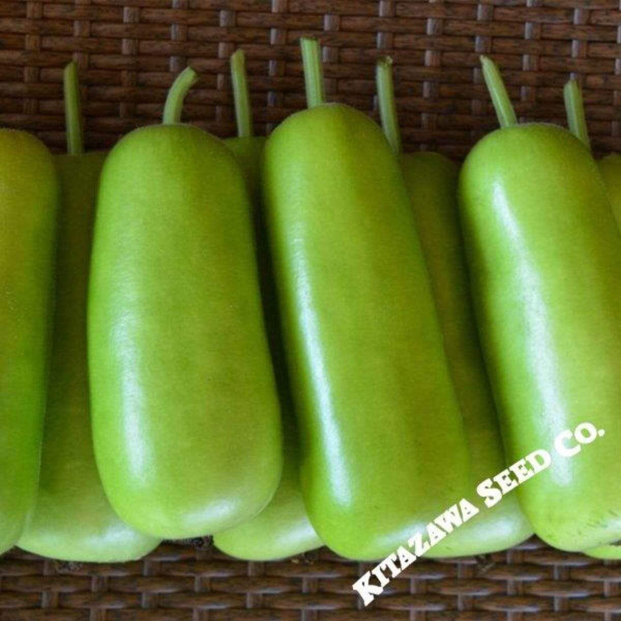 Gourd