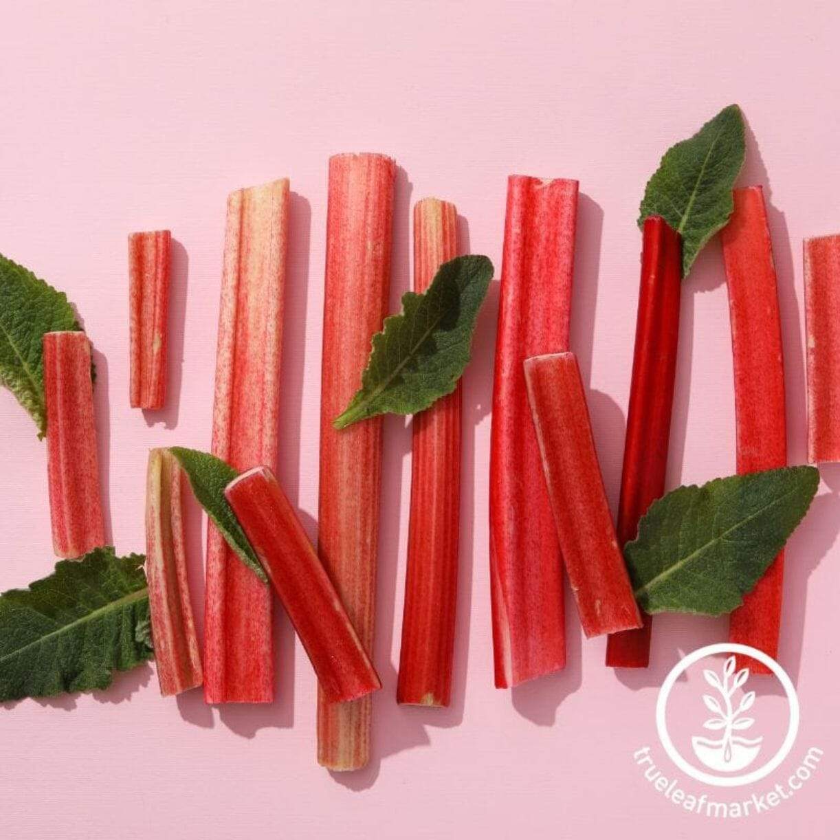 Valentine Rhubarb