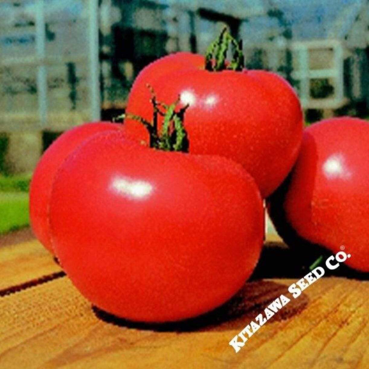 Momotaro Tomato