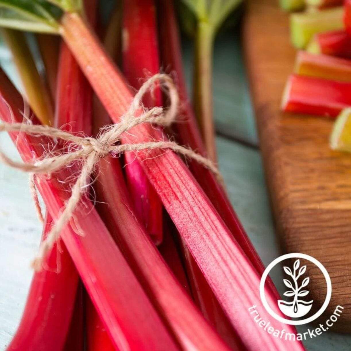 Canadian Red Rhubarb