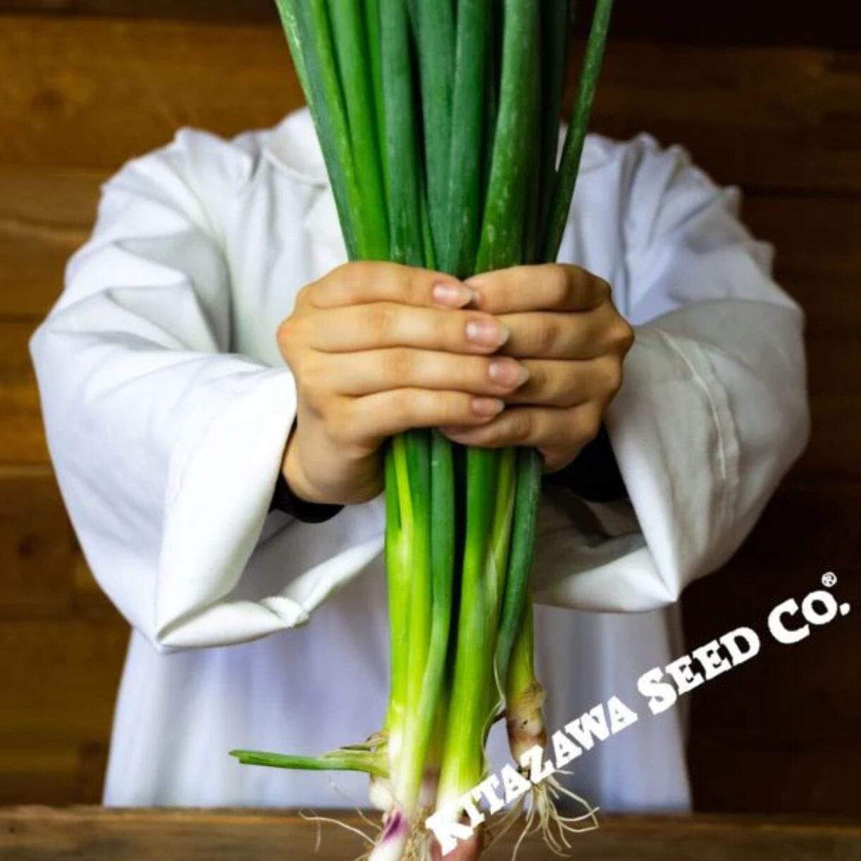 Red Beard Onion