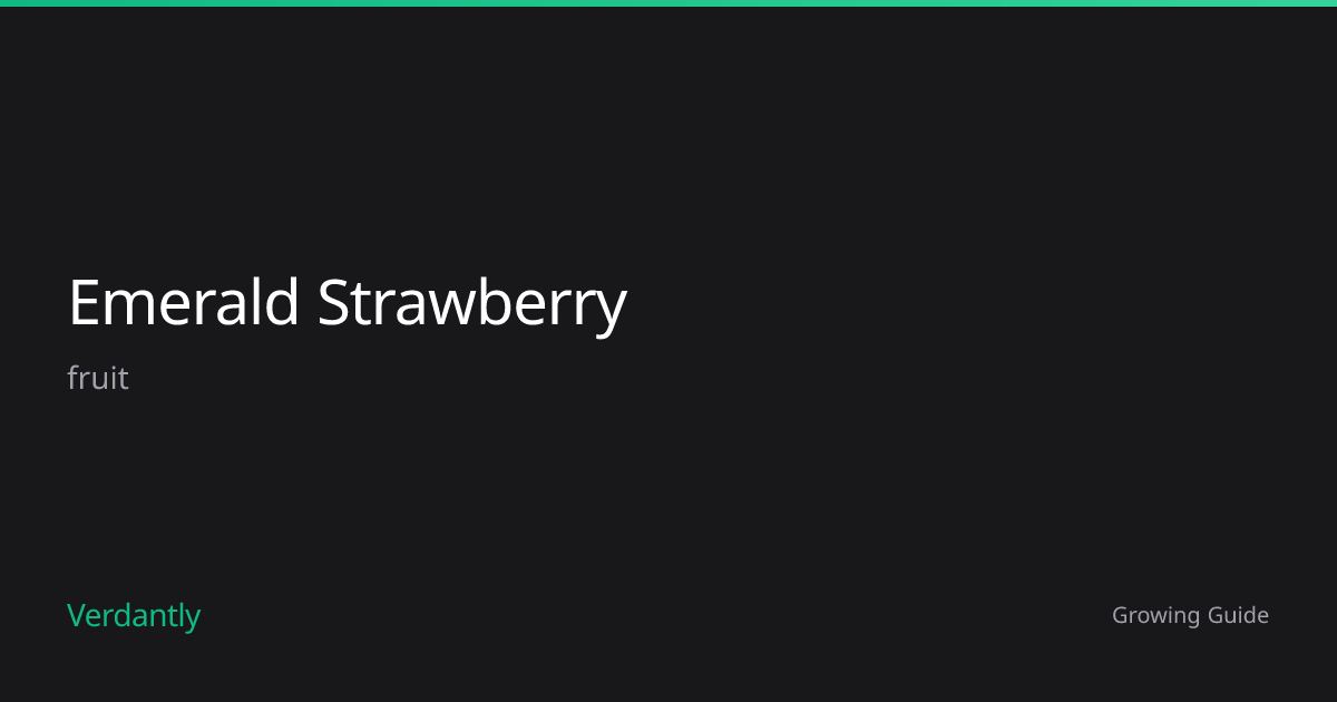 Emerald Strawberry — Growing Guide — Zones 7-10 | Verdantly