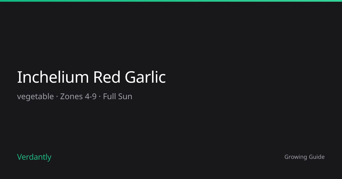 Inchelium Red Garlic — Growing Guide — Zones 4-9 | Verdantly