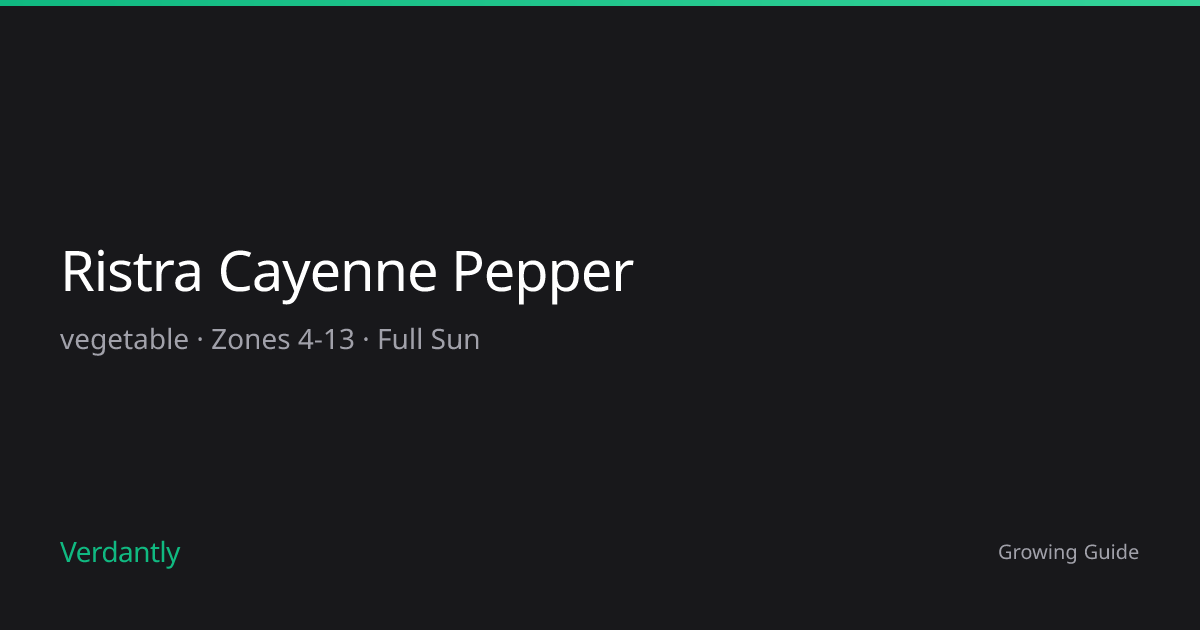 Ristra Cayenne Pepper — Growing Guide — Zones 4-13 | Verdantly