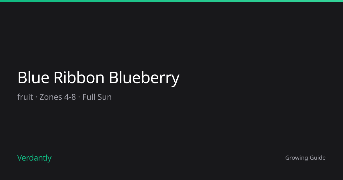 Blue Ribbon Blueberry — Growing Guide — Zones 4-8 | Verdantly