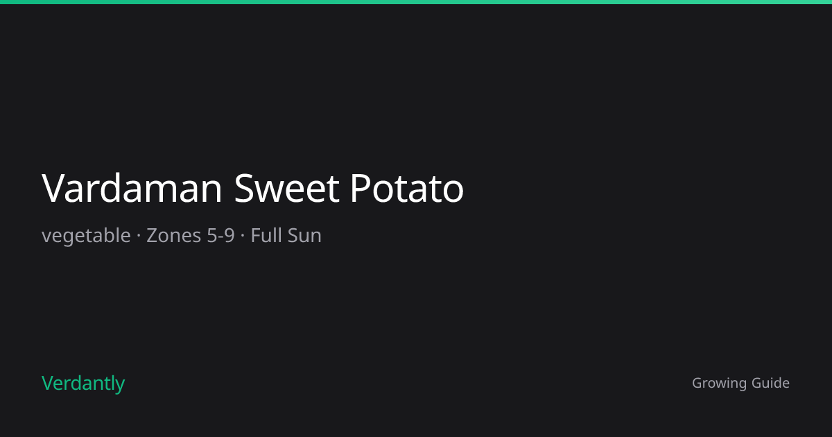 Vardaman Sweet Potato — Growing Guide — Zones 5-9 | Verdantly