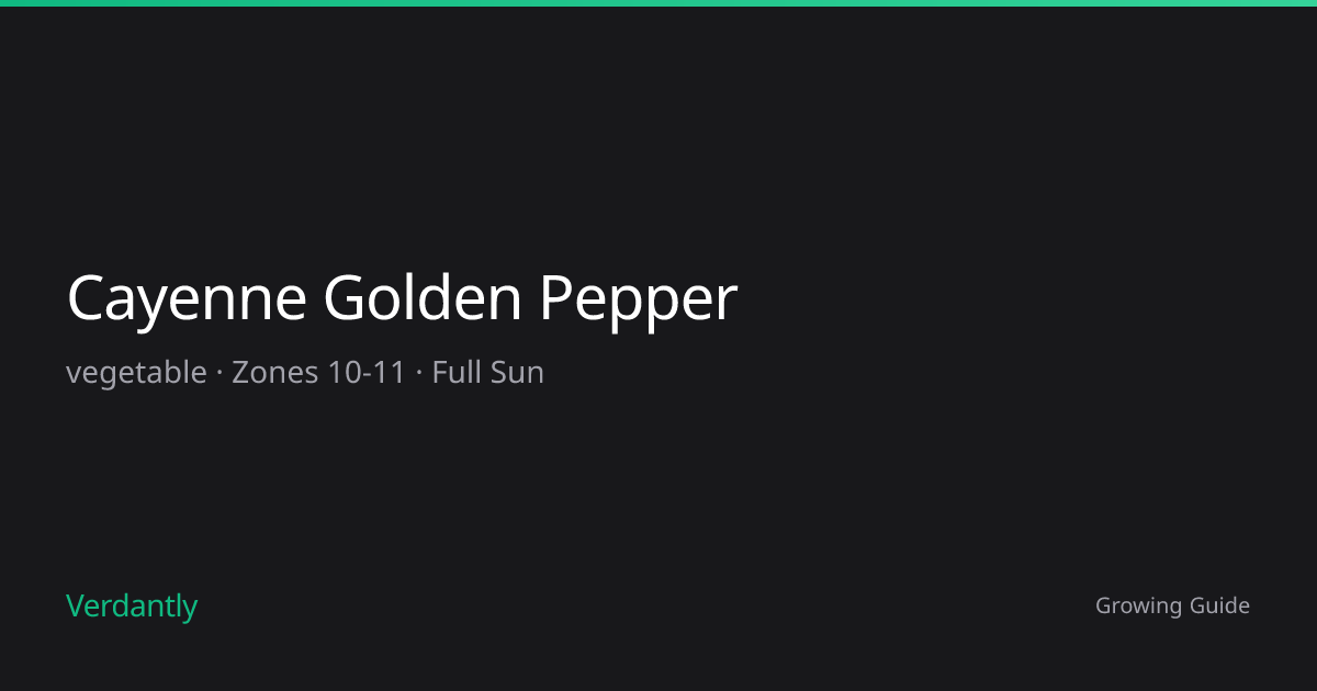 Cayenne Golden Pepper — Growing Guide — Zones 4-13 | Verdantly