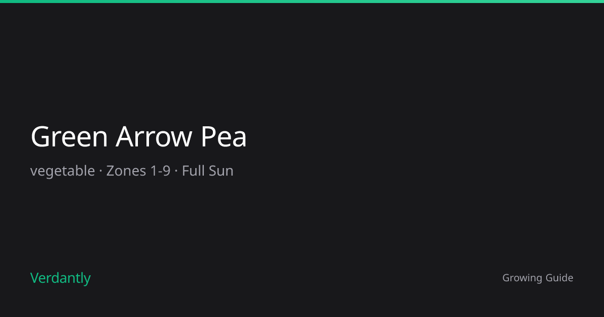 Green Arrow Pea — Growing Guide — Zones 1-9 | Verdantly