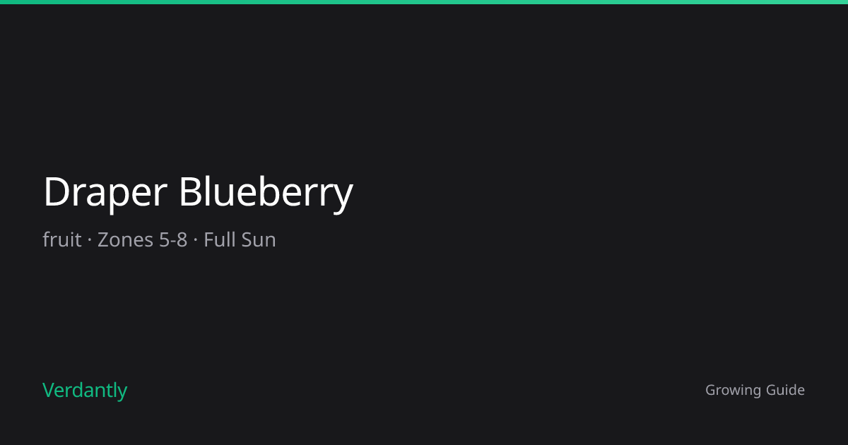 Draper Blueberry — Growing Guide — Zones 5-8 | Verdantly