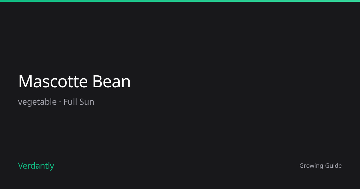 Mascotte Bean — Growing Guide — Zones 3-9 | Verdantly